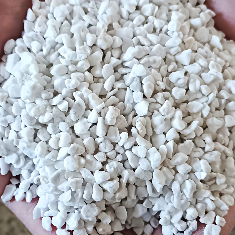 Sphagnum Moss Bag - 1 Confezione di Perlite da Giardinaggio