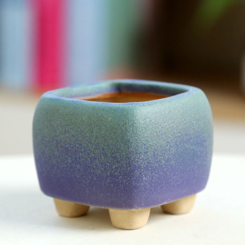 Training Pot Ceramic - Mini vaso da fiori carnoso in