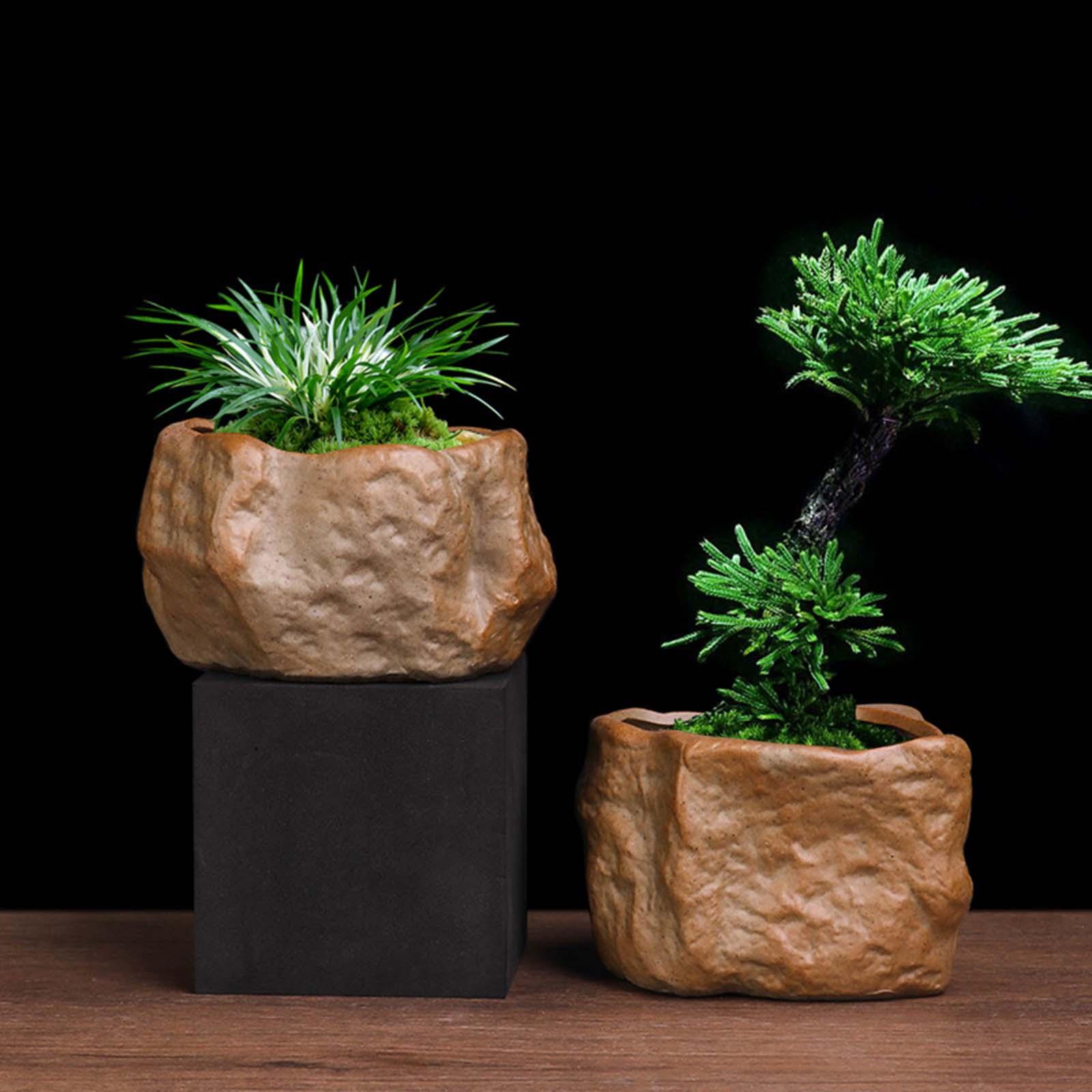 Training Pot Ceramic - Vaso in Ceramica per Piante Succulente,