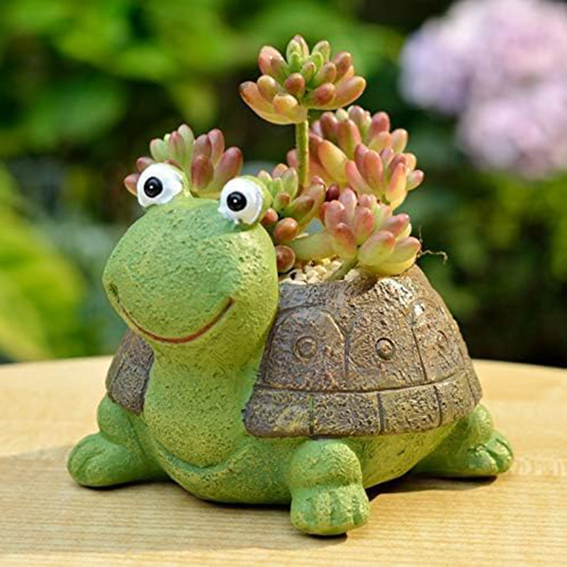 Bonsai Garden Gift - Cute Turtle Planter succulente Bonsai Cactus