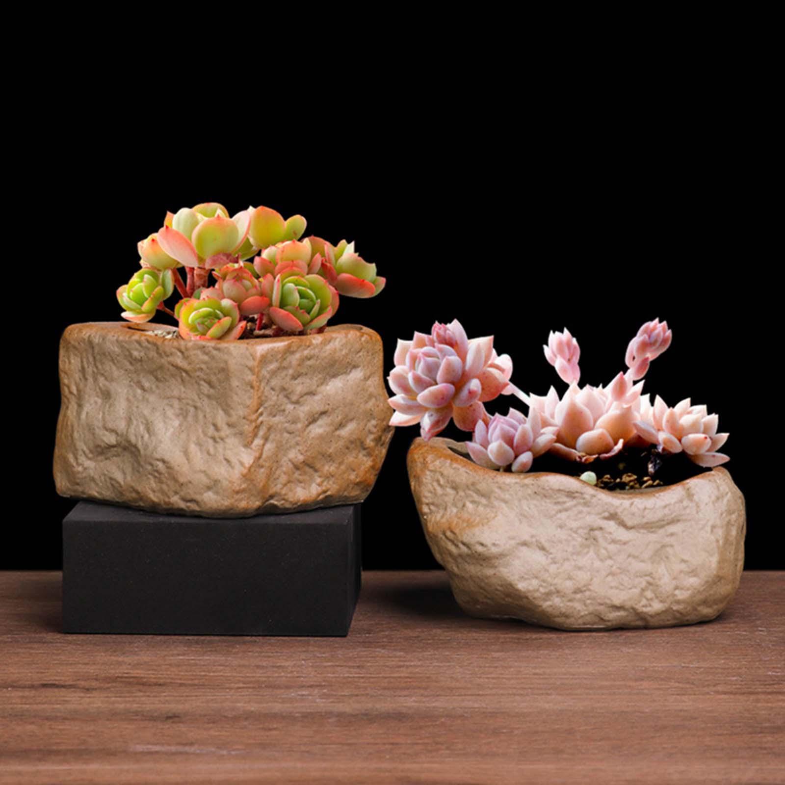 Training Pot Ceramic - Vaso in Ceramica per Piante Succulente,