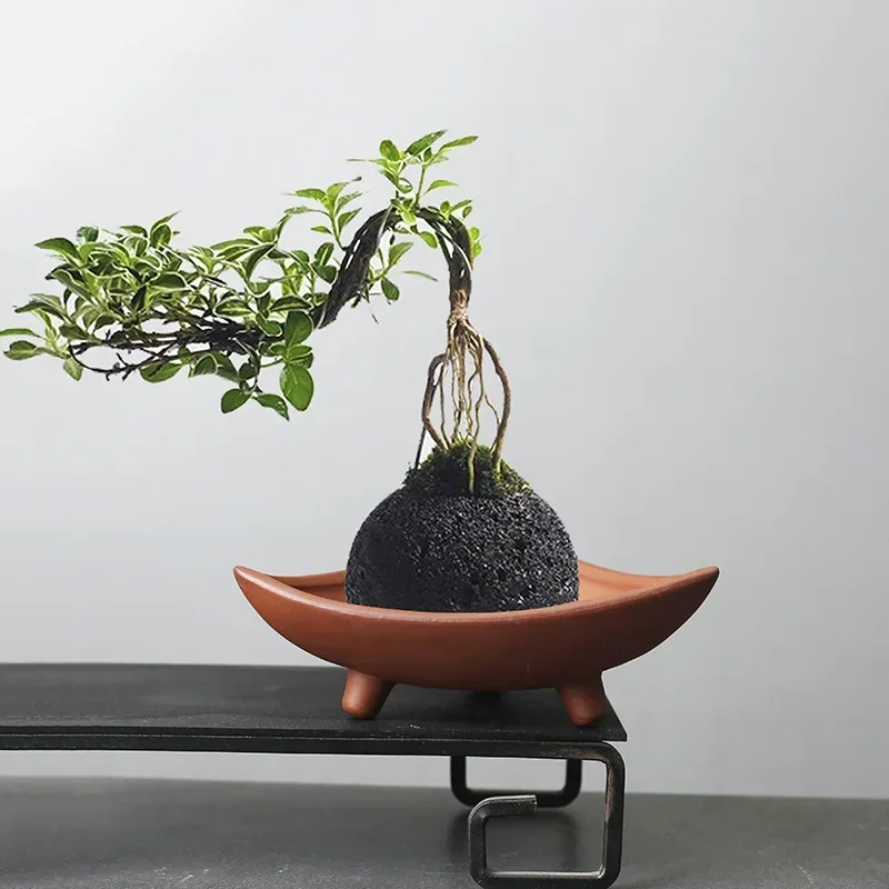 Japanese Garden Bonsai - Vasi da fiori in ceramica personalizzati