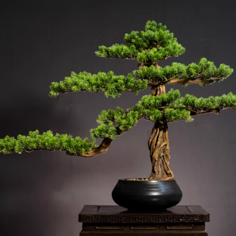 Bonsai Garden Entrance - Accoglienti la casa Ornamenti di pino