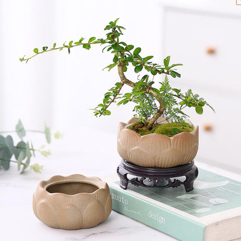 Bonsai Garden Art - Vaso per piante verde loto in