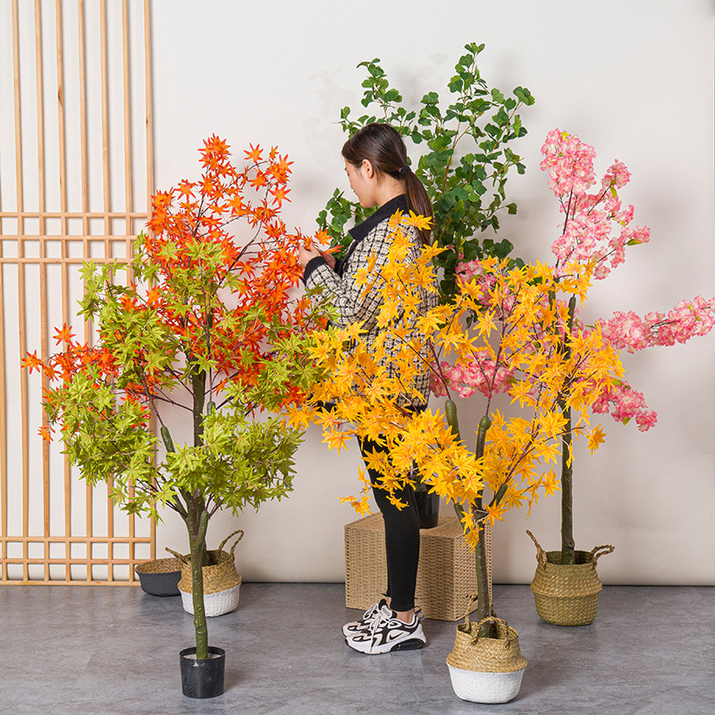 Bonsai Garden Restaurant - Pianta bonsai con foglie di ginkgo