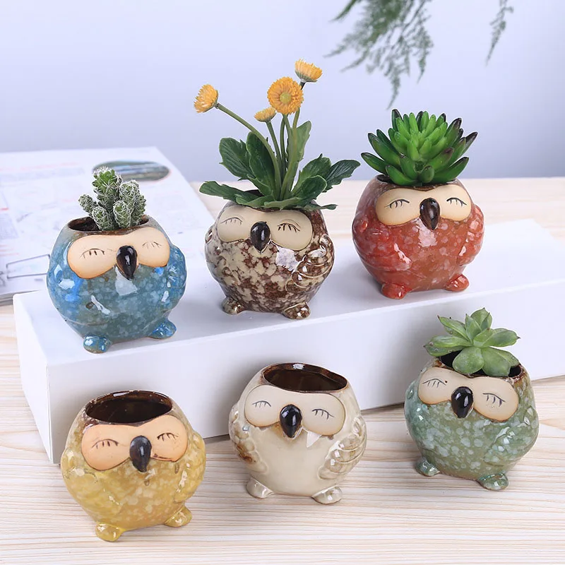 Bonsai Garden Gift - Mini Vaso in Ceramica a Forma