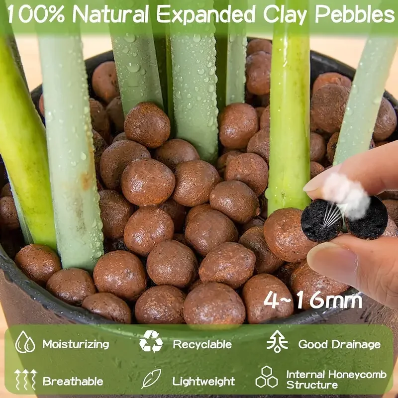 500 g/paccoGarden Idroponico E - Sphagnum Moss Bag recensione e prezzo