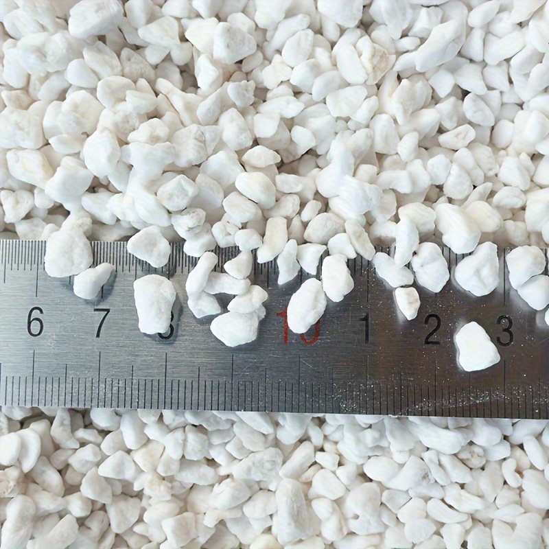 1 Confezione di Perlite da Gia - Sphagnum Moss Bag recensione e prezzo