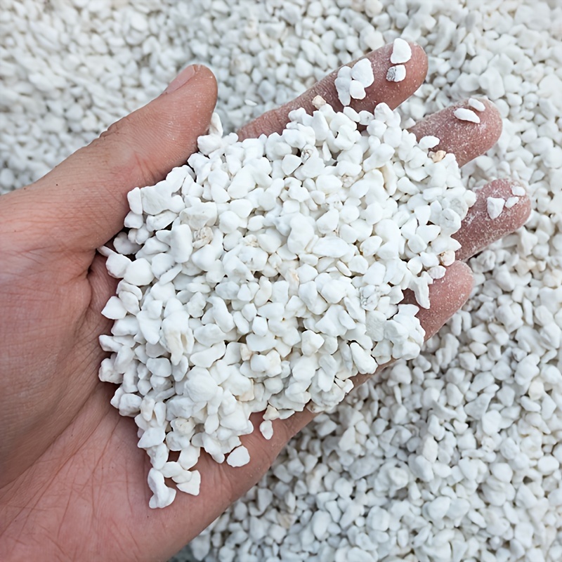 1 Confezione di Perlite da Gia - Sphagnum Moss Bag recensione e prezzo