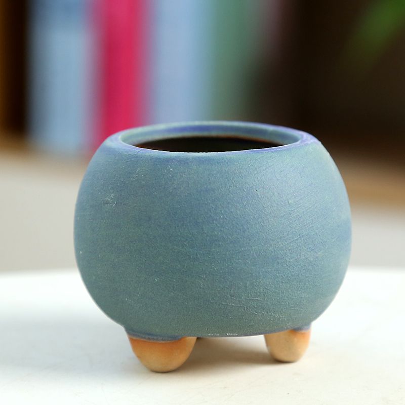 Mini vaso da fiori carnoso in  - Training Pot Ceramic recensione e prezzo