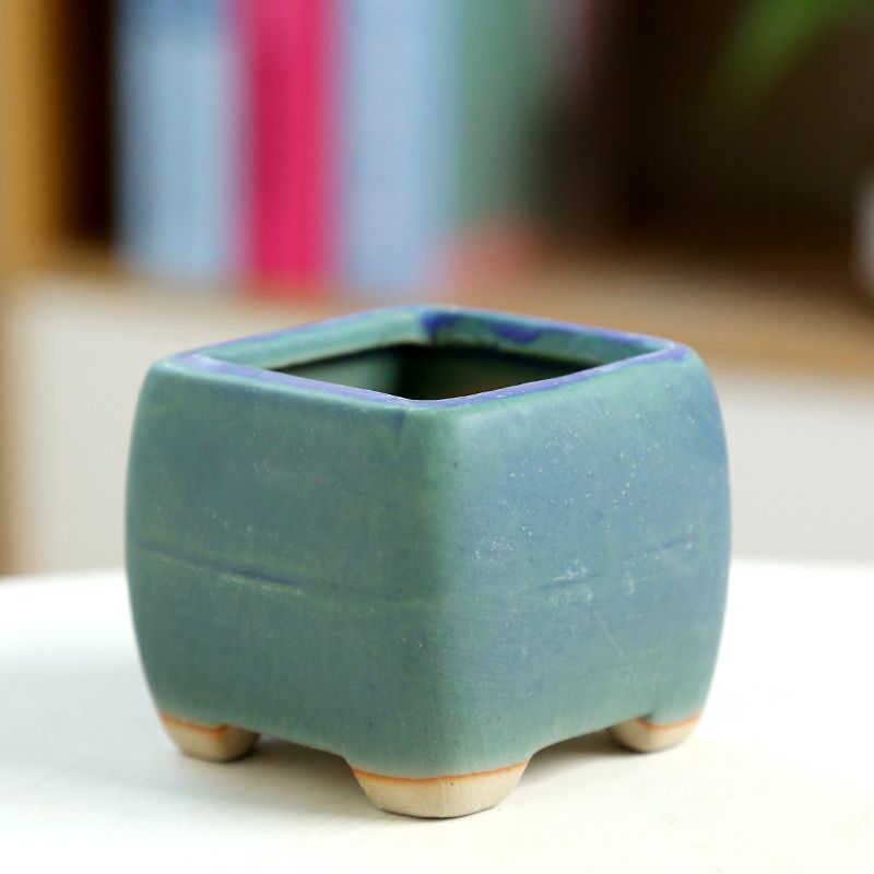 Mini vaso da fiori carnoso in  - Training Pot Ceramic recensione e prezzo