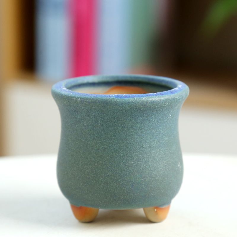 Mini vaso da fiori carnoso in  - Training Pot Ceramic recensione e prezzo