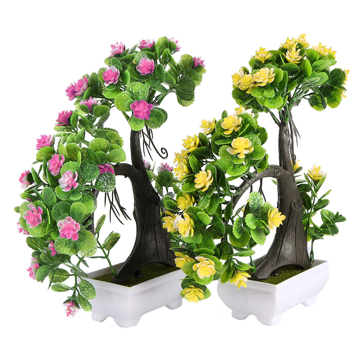 2 pezzi di piante in vaso con  - Bonsai Garden Restaurant recensione e prezzo
