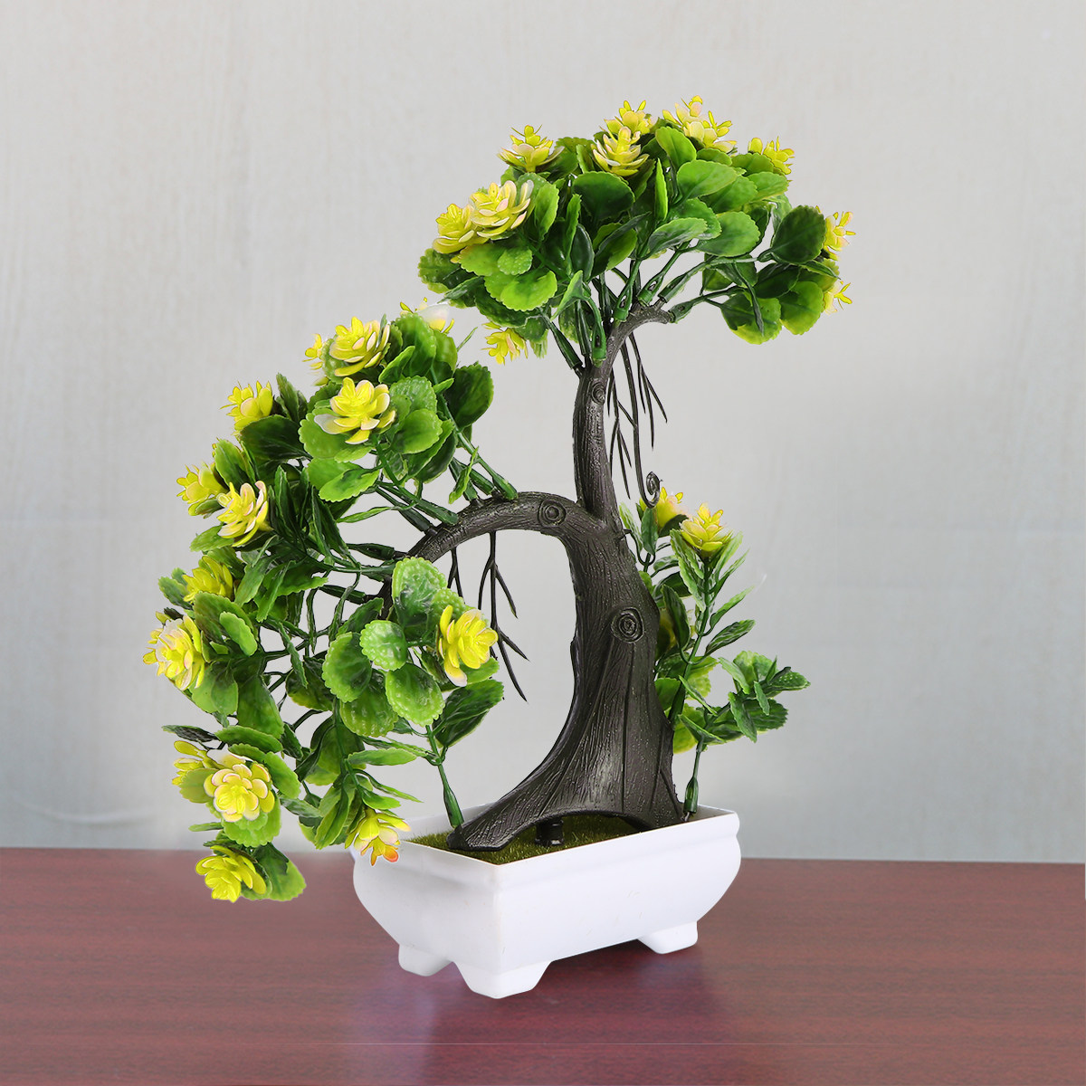 2 pezzi di piante in vaso con  - Bonsai Garden Restaurant recensione e prezzo