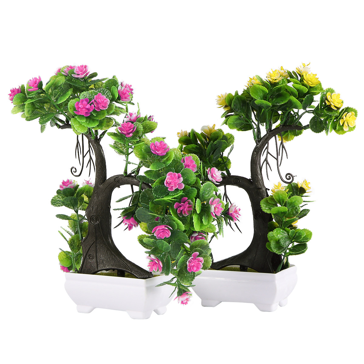2 pezzi di piante in vaso con  - Bonsai Garden Restaurant recensione e prezzo