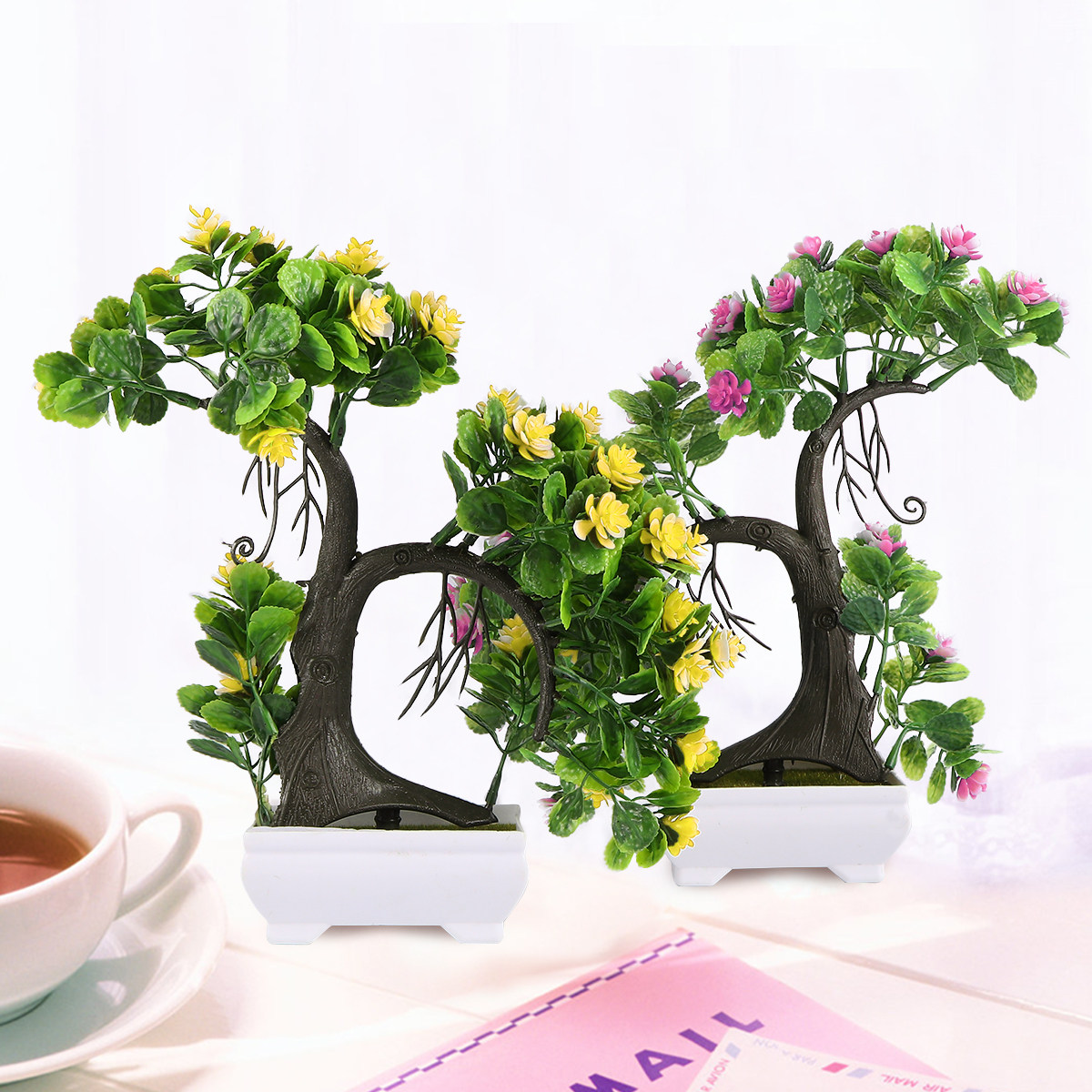 2 pezzi di piante in vaso con  - Bonsai Garden Restaurant recensione e prezzo