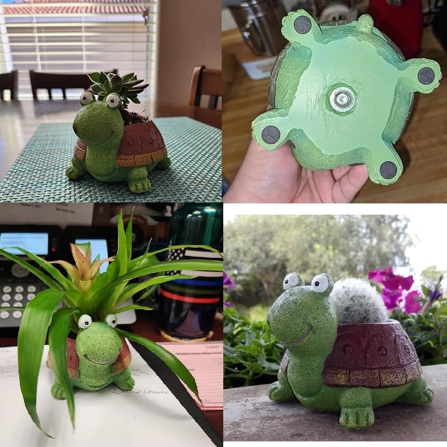 Cute Turtle Planter succulente - Bonsai Garden Gift recensione e prezzo