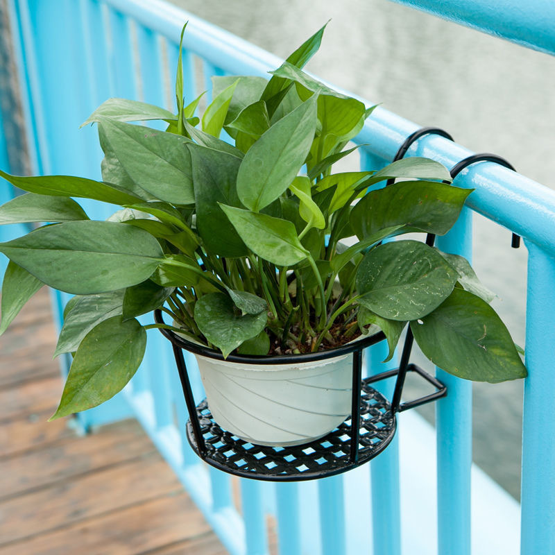 1 Pezzo Vaso da Giardino per E - Bonsai Garden Art recensione e prezzo