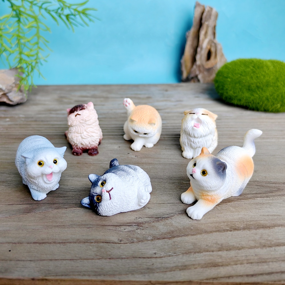 6 pezzi simpatico gatto cane s - Bonsai Garden Gift recensione e prezzo