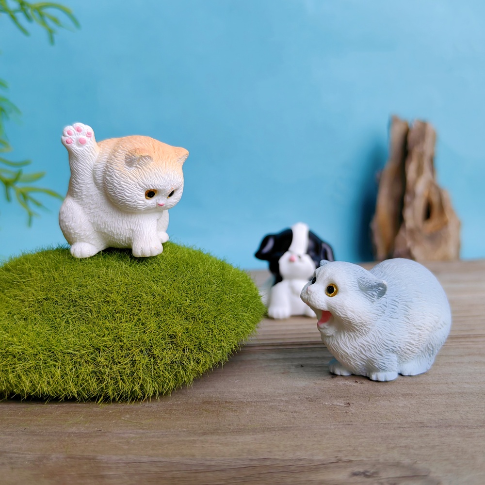 6 pezzi simpatico gatto cane s - Bonsai Garden Gift recensione e prezzo