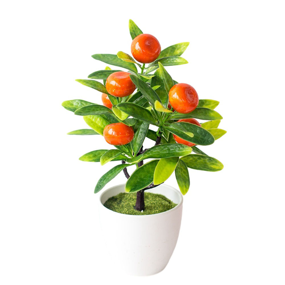 Piante artificiali, bonsai fin - Bonsai Garden Restaurant recensione e prezzo