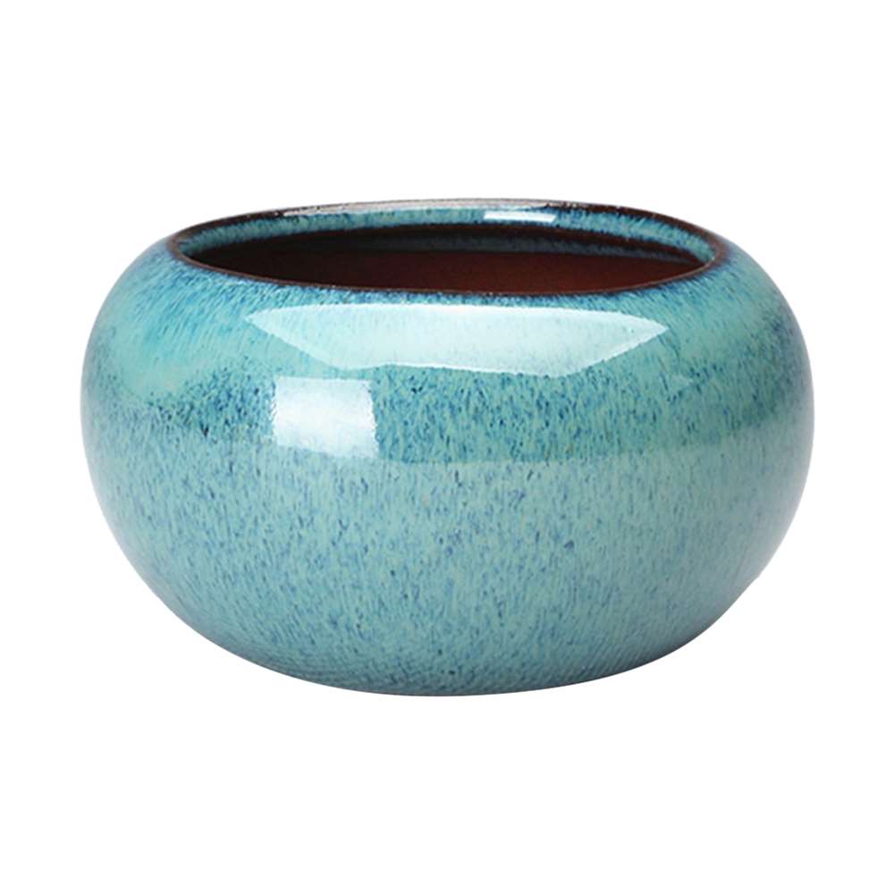 Vasi per bonsai in stile cines - Training Pot Ceramic recensione e prezzo
