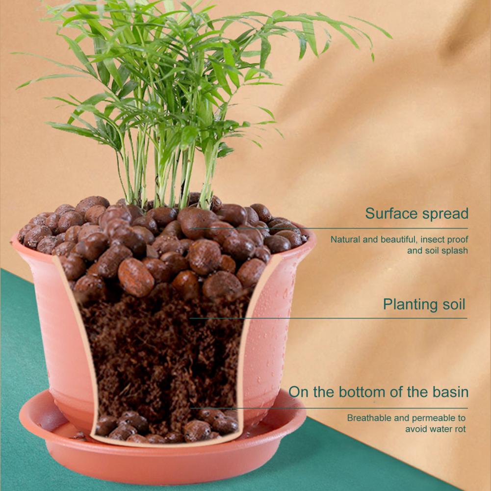 Ciottoli di argilla da 3,3 lib - Sphagnum Moss Bag recensione e prezzo
