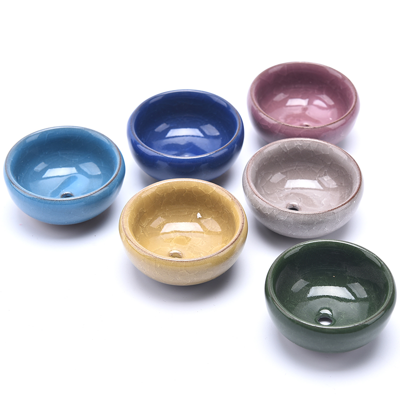 Simpatica crepa di ghiaccio sm - Japanese Garden Bonsai recensione e prezzo