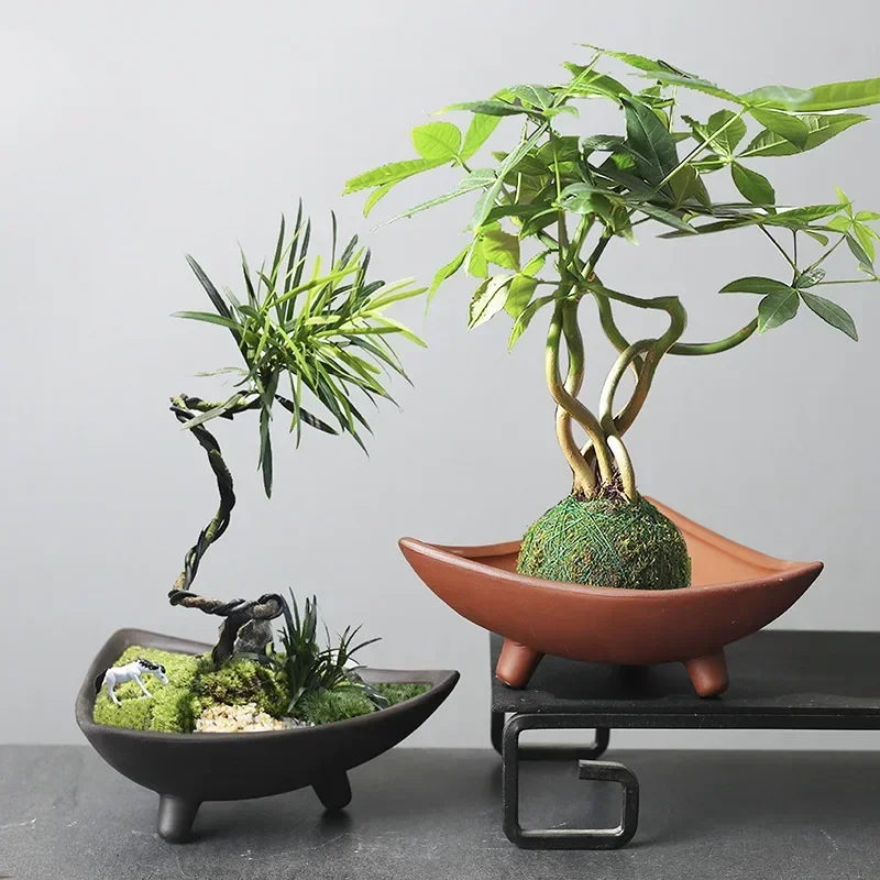 Vasi da fiori in ceramica pers - Japanese Garden Bonsai recensione e prezzo
