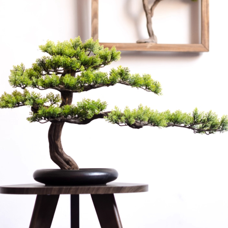 Accoglienti la casa Ornamenti  - Bonsai Garden Entrance recensione e prezzo