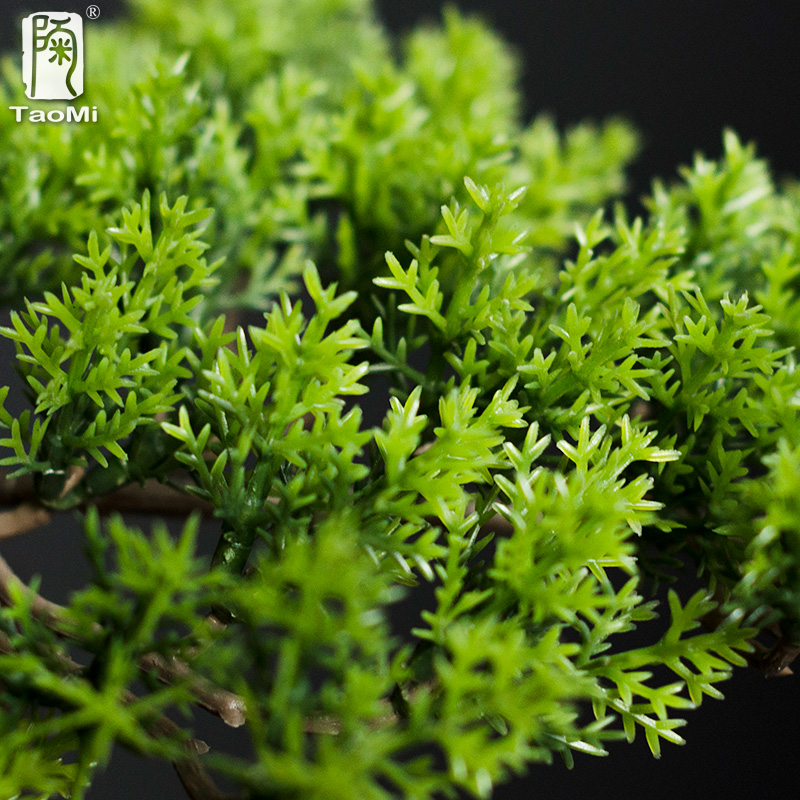 Accoglienti la casa Ornamenti  - Bonsai Garden Entrance recensione e prezzo