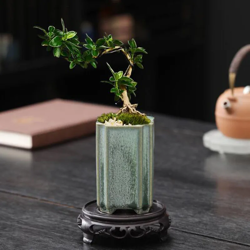 Vaso per Orchidee in Porcellan - Bonsai Garden Art recensione e prezzo