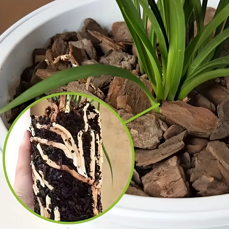 Corteccia di pino per vasi di  - Sphagnum Moss Bag recensione e prezzo