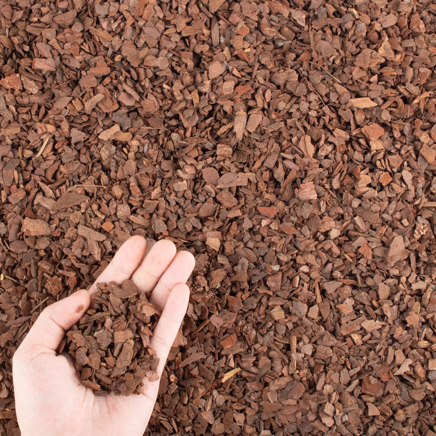 Corteccia di pino per vasi di  - Sphagnum Moss Bag recensione e prezzo